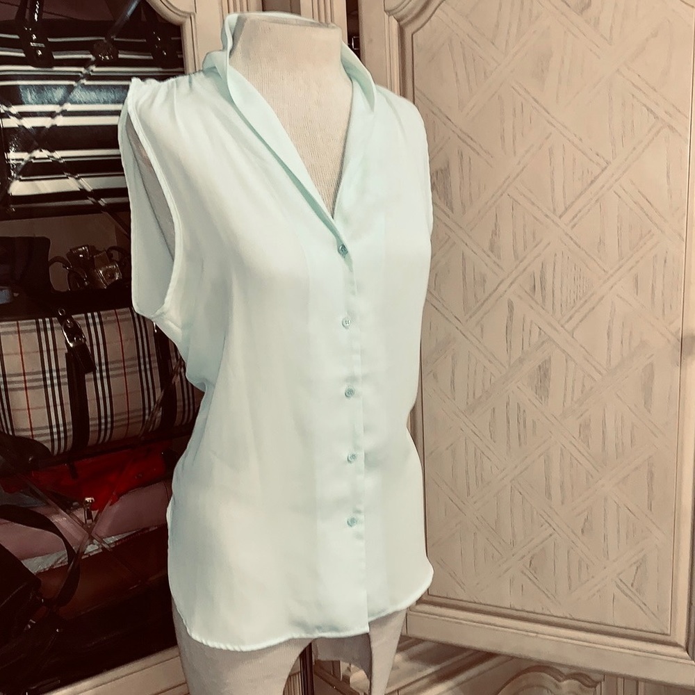 Pastel, sheer top